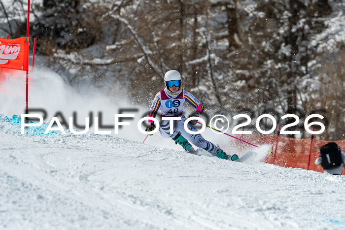 NC RS ,Frauen + Männer Axamer Lizum 28.03.2026