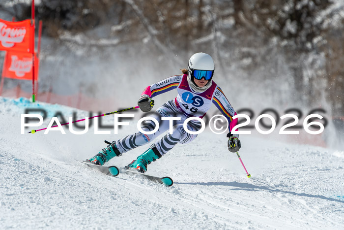 NC RS ,Frauen + Männer Axamer Lizum 28.03.2026