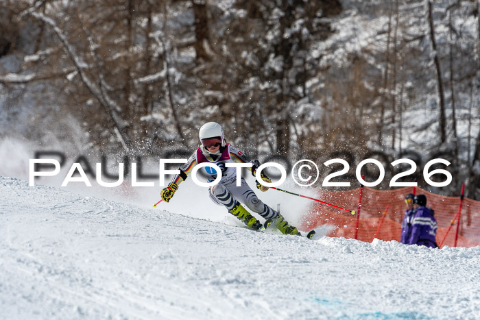 NC RS ,Frauen + Männer Axamer Lizum 28.03.2026