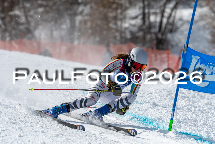 NC RS ,Frauen + Männer Axamer Lizum 28.03.2026