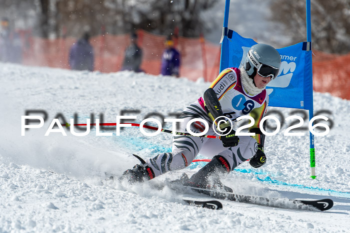 NC RS ,Frauen + Männer Axamer Lizum 28.03.2026
