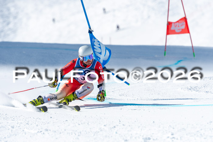 NC RS ,Frauen + Männer Axamer Lizum 28.03.2026