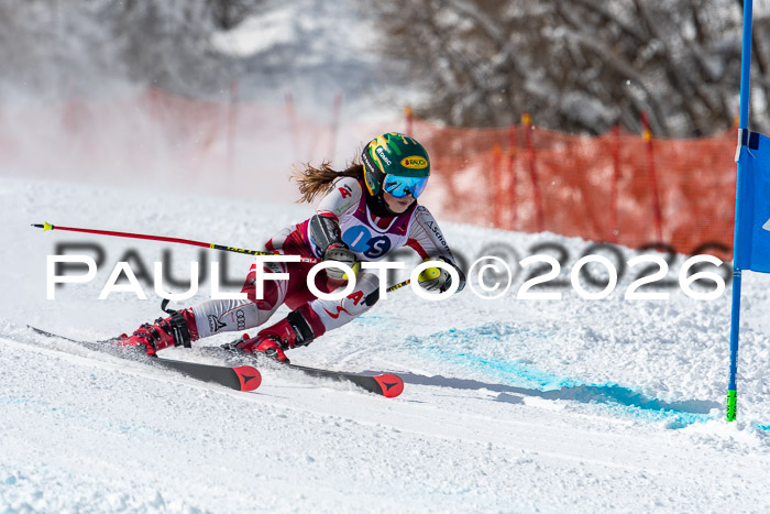 NC RS ,Frauen + Männer Axamer Lizum 28.03.2026