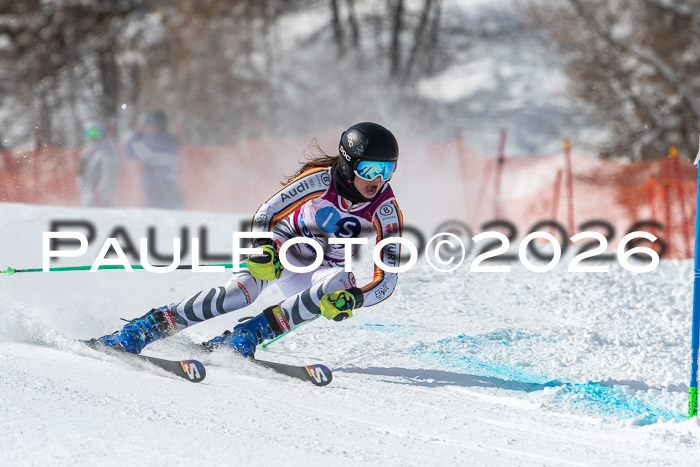 NC RS ,Frauen + Männer Axamer Lizum 28.03.2026