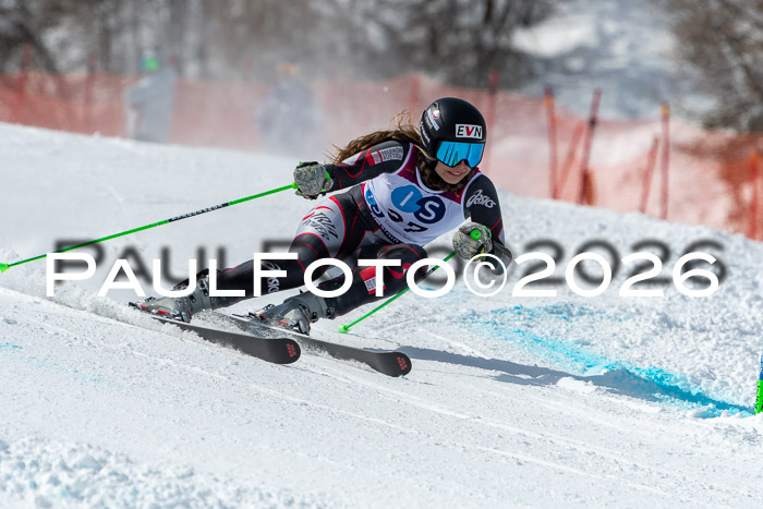 NC RS ,Frauen + Männer Axamer Lizum 28.03.2026