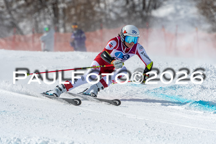 NC RS ,Frauen + Männer Axamer Lizum 28.03.2026