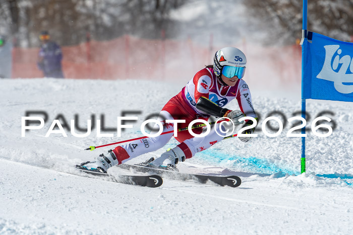 NC RS ,Frauen + Männer Axamer Lizum 28.03.2026
