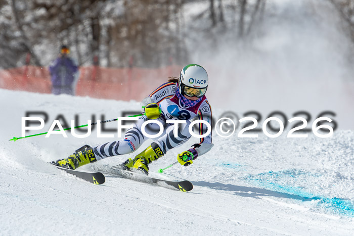 NC RS ,Frauen + Männer Axamer Lizum 28.03.2026