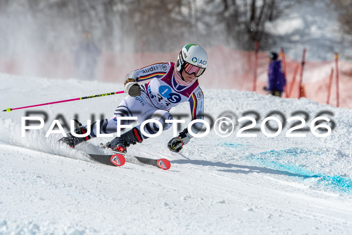 NC RS ,Frauen + Männer Axamer Lizum 28.03.2026