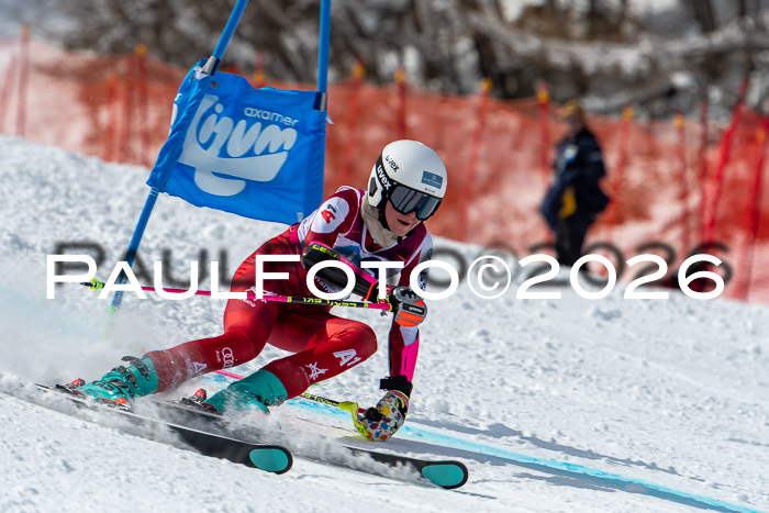 NC RS ,Frauen + Männer Axamer Lizum 28.03.2026