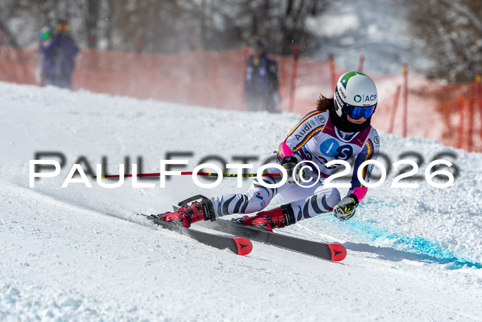 NC RS ,Frauen + Männer Axamer Lizum 28.03.2026