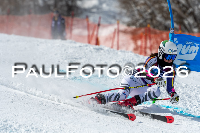 NC RS ,Frauen + Männer Axamer Lizum 28.03.2026