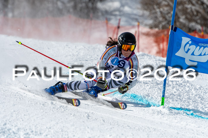 NC RS ,Frauen + Männer Axamer Lizum 28.03.2026