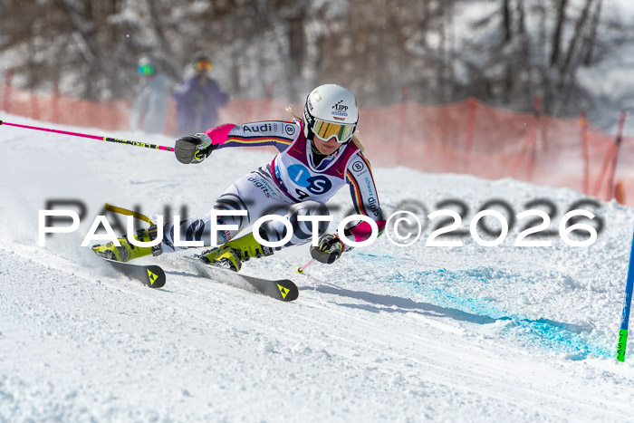 NC RS ,Frauen + Männer Axamer Lizum 28.03.2026