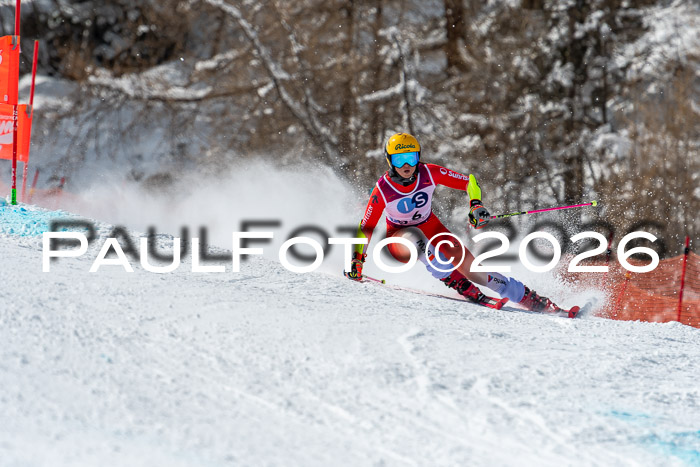 NC RS ,Frauen + Männer Axamer Lizum 28.03.2026