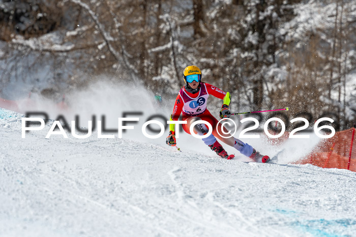 NC RS ,Frauen + Männer Axamer Lizum 28.03.2026