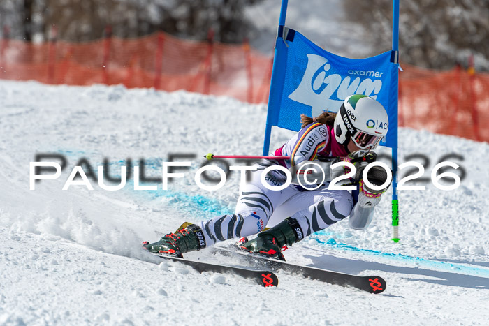 NC RS ,Frauen + Männer Axamer Lizum 28.03.2026