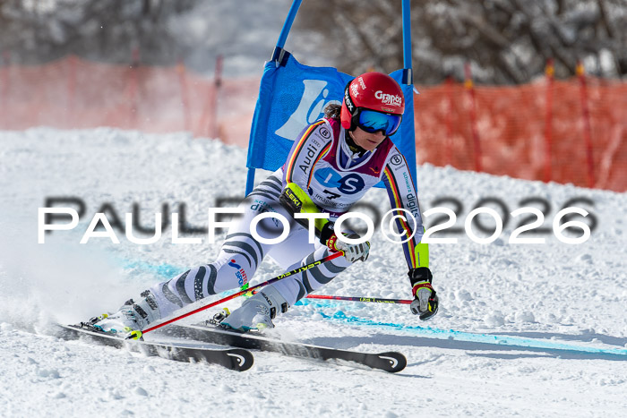 NC RS ,Frauen + Männer Axamer Lizum 28.03.2026