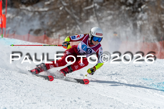 NC RS ,Frauen + Männer Axamer Lizum 28.03.2026