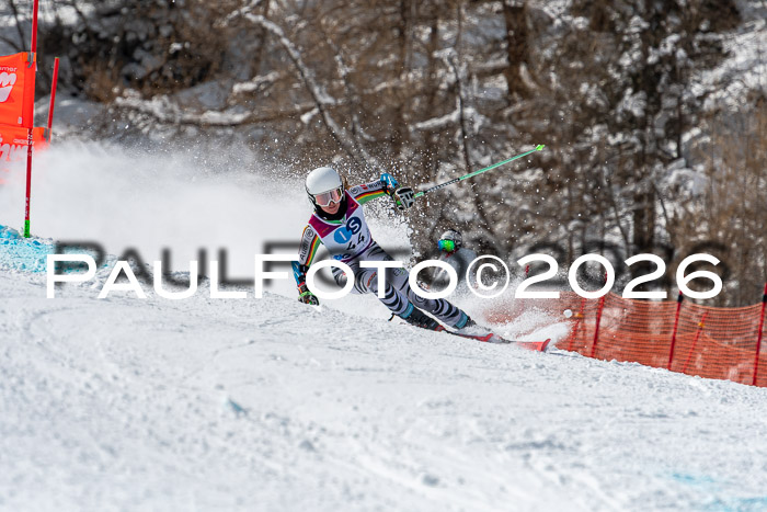 NC RS ,Frauen + Männer Axamer Lizum 28.03.2026