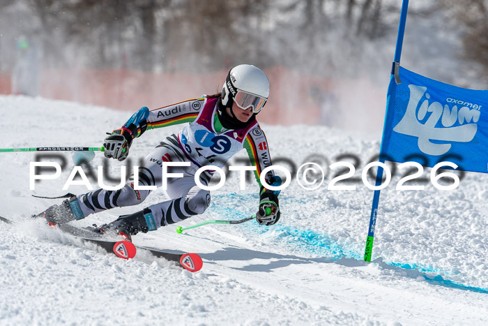 NC RS ,Frauen + Männer Axamer Lizum 28.03.2026