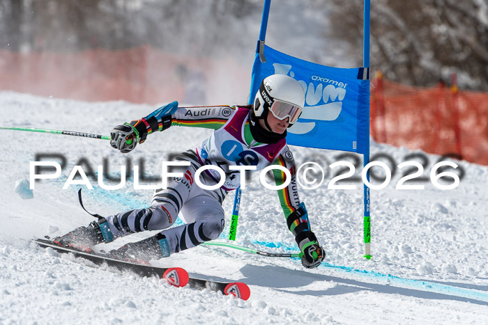 NC RS ,Frauen + Männer Axamer Lizum 28.03.2026