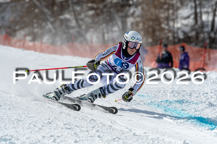 NC RS ,Frauen + Männer Axamer Lizum 28.03.2026