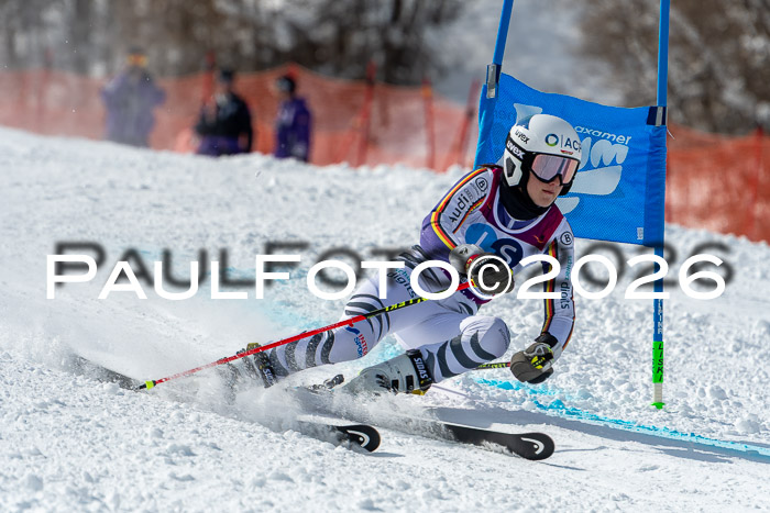 NC RS ,Frauen + Männer Axamer Lizum 28.03.2026