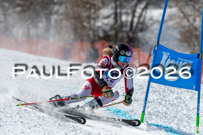 NC RS ,Frauen + Männer Axamer Lizum 28.03.2026