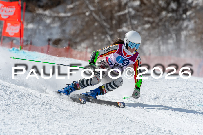 NC RS ,Frauen + Männer Axamer Lizum 28.03.2026