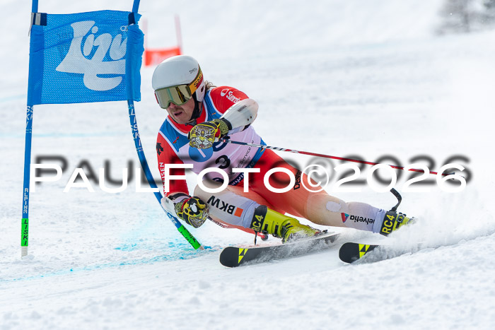 NC RS ,Frauen + Männer Axamer Lizum 28.03.2026