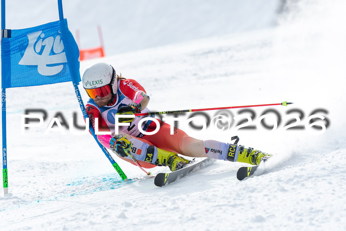 NC RS ,Frauen + Männer Axamer Lizum 28.03.2026