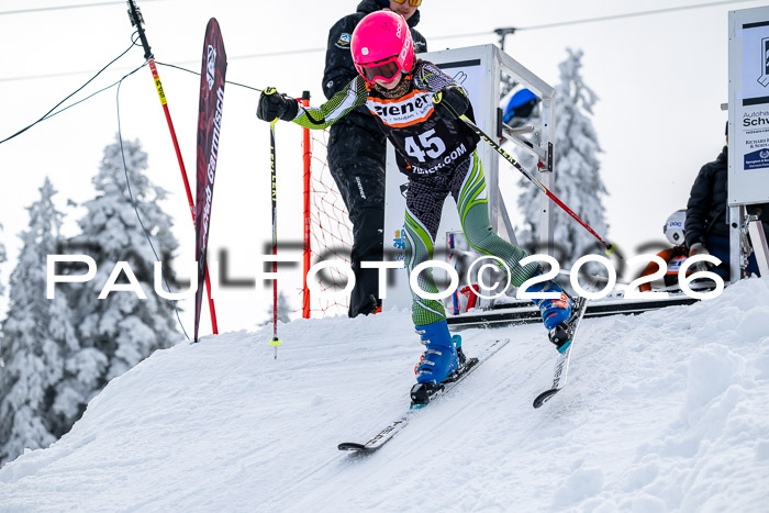 Ziener CupFinale PSL Trögllift, 28.03.2026