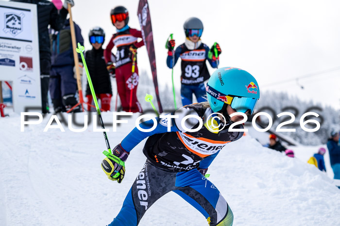 Ziener CupFinale PSL Trögllift, 28.03.2026