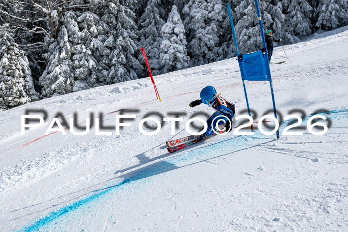 Ziener CupFinale PSL Trögllift, 28.03.2026