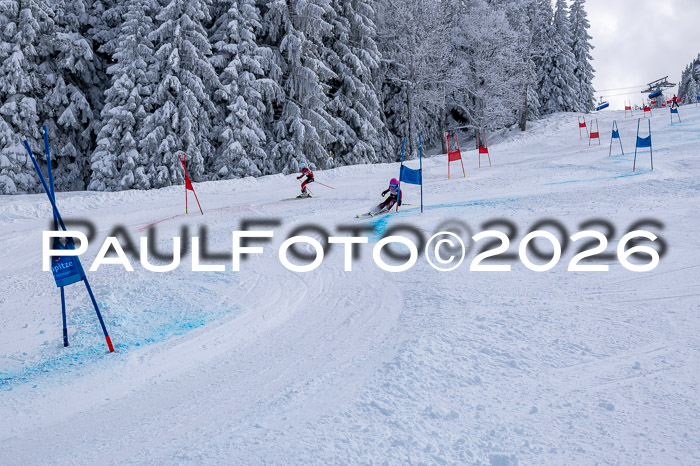 Ziener CupFinale PSL Trögllift, 28.03.2026