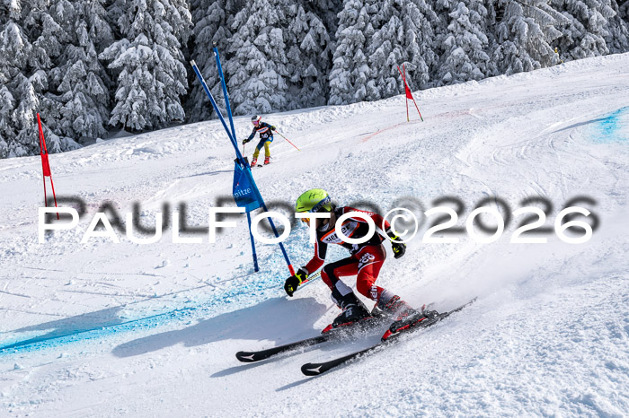 Ziener CupFinale PSL Trögllift, 28.03.2026