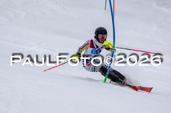 NC SL ,Frauen + Männer Axamer Lizum 29.03.2026