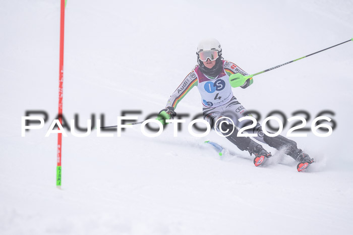 NC SL ,Frauen + Männer Axamer Lizum 29.03.2026