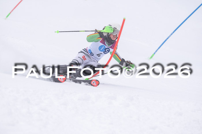 NC SL ,Frauen + Männer Axamer Lizum 29.03.2026