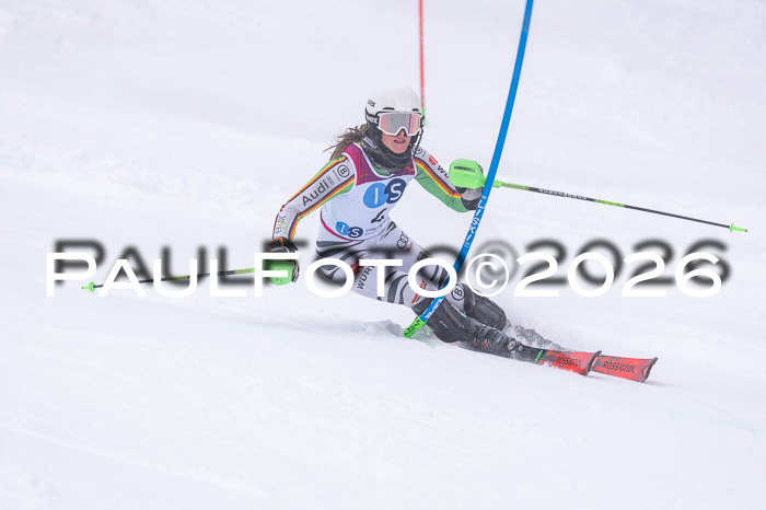 NC SL ,Frauen + Männer Axamer Lizum 29.03.2026