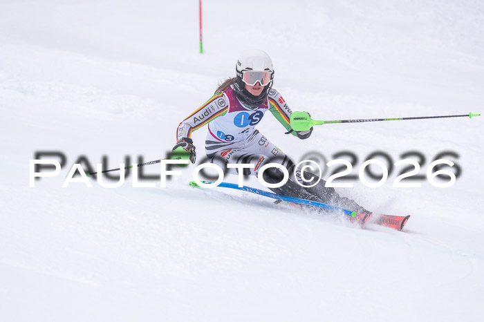 NC SL ,Frauen + Männer Axamer Lizum 29.03.2026