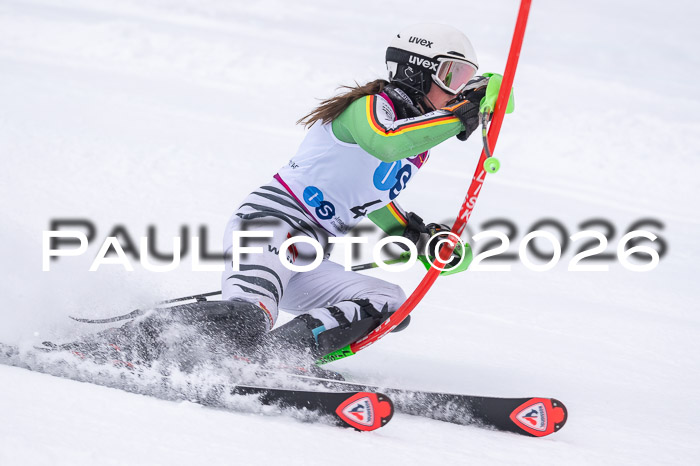 NC SL ,Frauen + Männer Axamer Lizum 29.03.2026