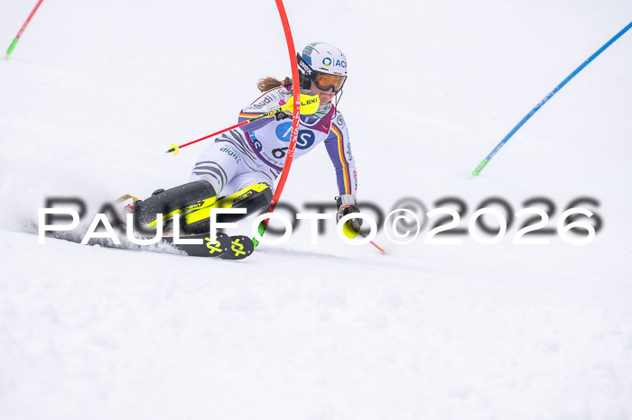 NC SL ,Frauen + Männer Axamer Lizum 29.03.2026