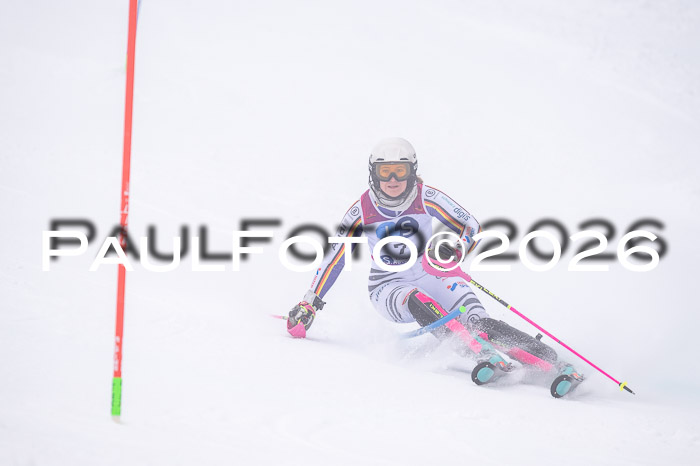 NC SL ,Frauen + Männer Axamer Lizum 29.03.2026