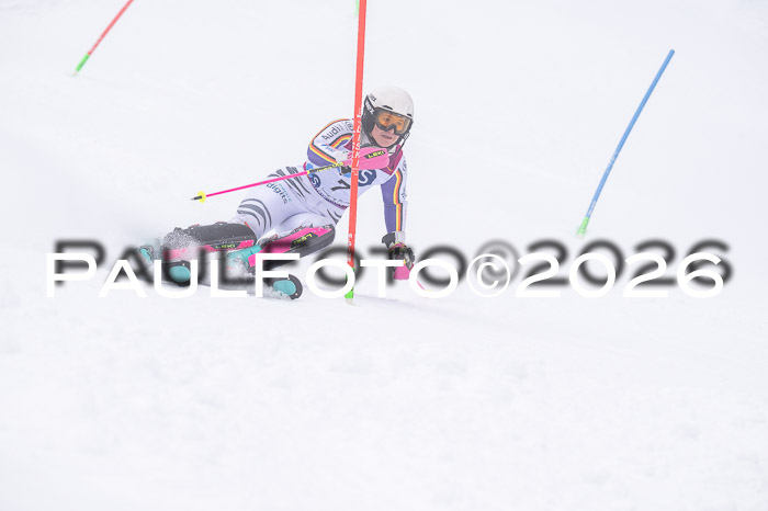 NC SL ,Frauen + Männer Axamer Lizum 29.03.2026