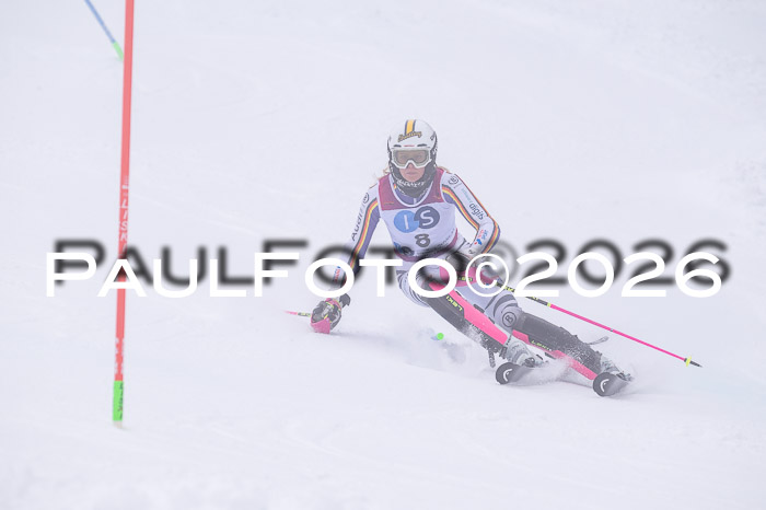 NC SL ,Frauen + Männer Axamer Lizum 29.03.2026