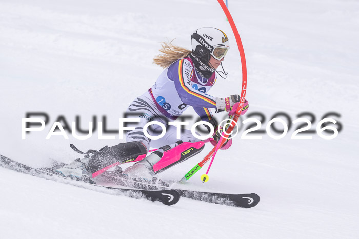 NC SL ,Frauen + Männer Axamer Lizum 29.03.2026