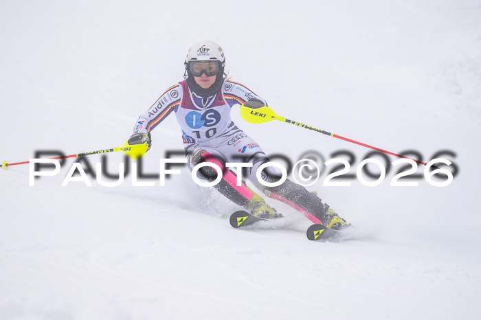 NC SL ,Frauen + Männer Axamer Lizum 29.03.2026