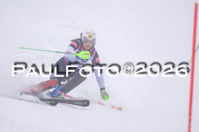 NC SL ,Frauen + Männer Axamer Lizum 29.03.2026